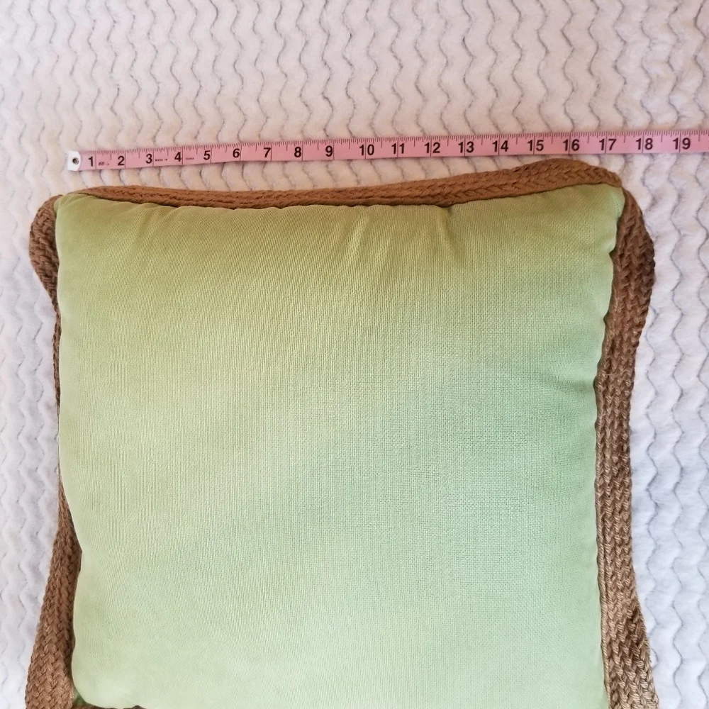 Pier 1 Imports Textured Braided Accent Pillow